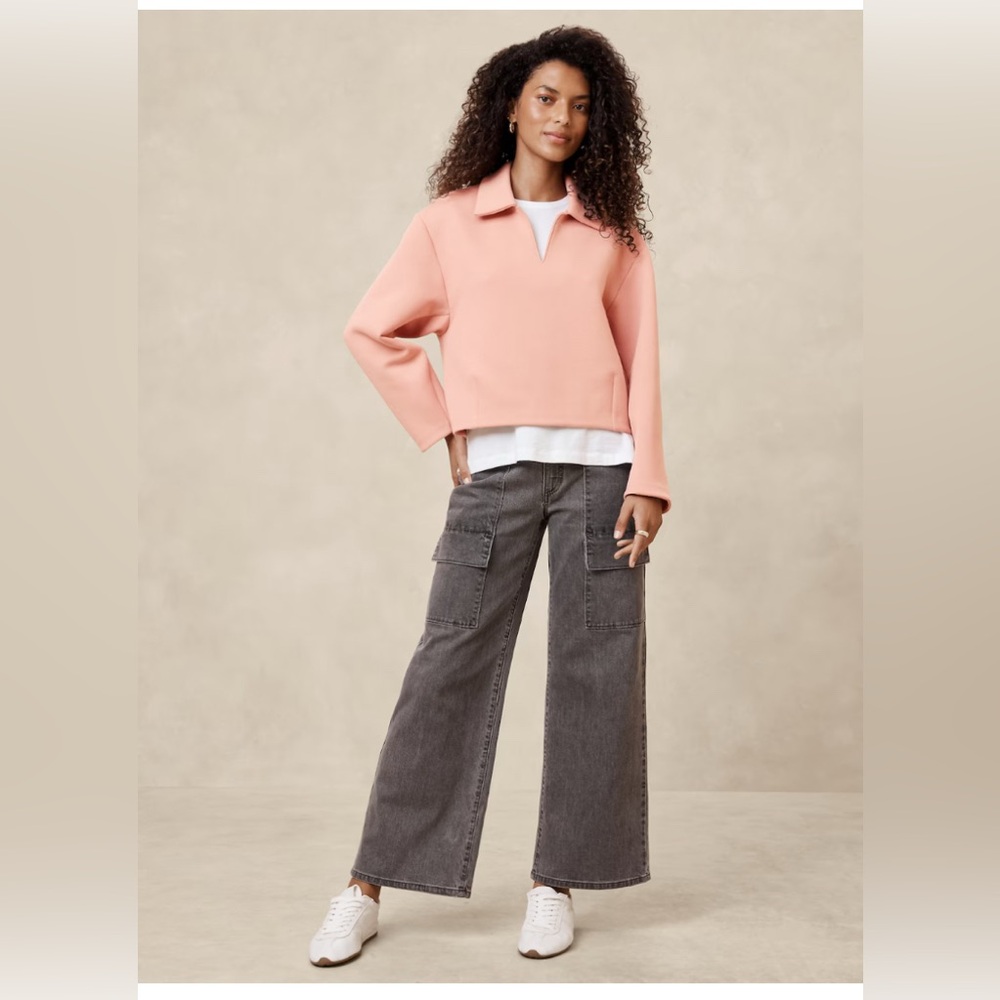 NWT banana republic blush colored scuba popover sweatshirt, size Large